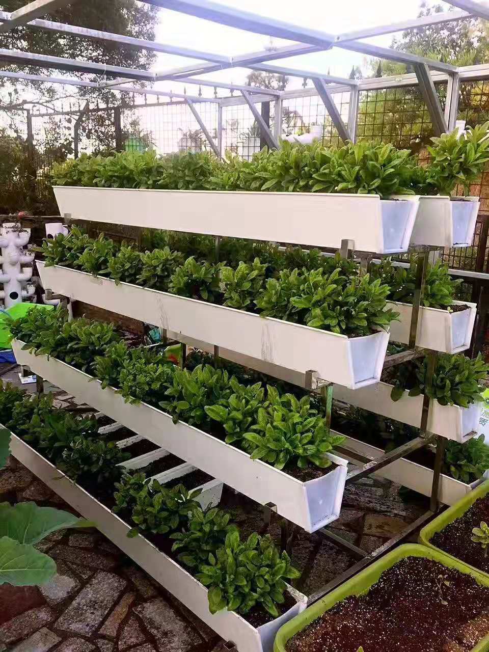 Indoor vegetable growing system by G AND N FORTUNE LIMITED hydro.
