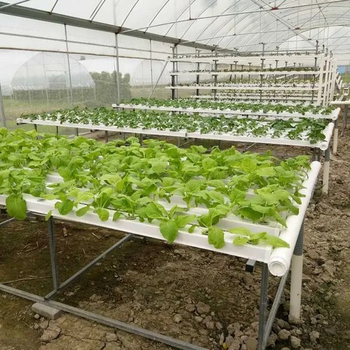 G&N’s hortuzz hydroponics system aids hydro growth.