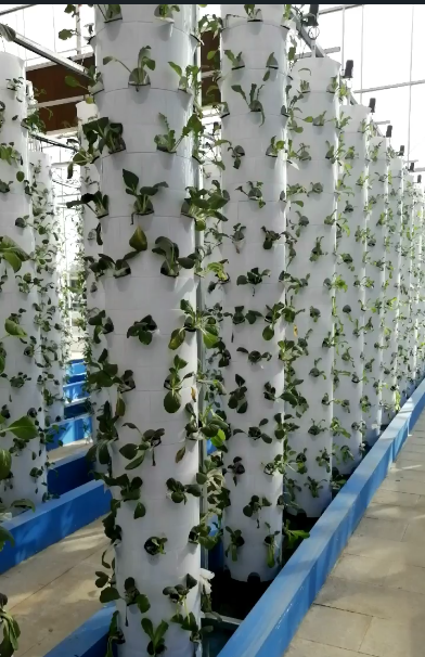 2.G AND N FORTUNE LIMITED offers advanced hydroponics garden tower solutions for efficient indoor gardening.