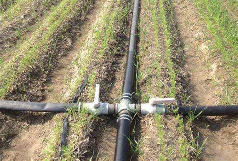 Irrigation pipe for sale by G AND N FORTUNE LIMITED, for hydroponic needs.