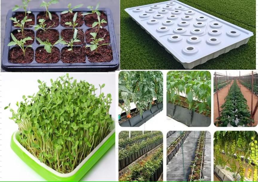 G AND N FORTUNE LIMITED’s ferry morse seed tray is perfect for hydroponic seed starting needs.