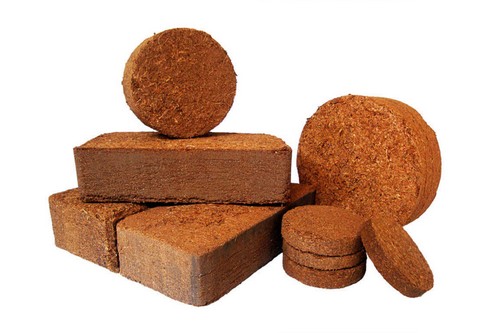  G AND N FORTUNE LIMITED's cocopeat where to buy for hydro.