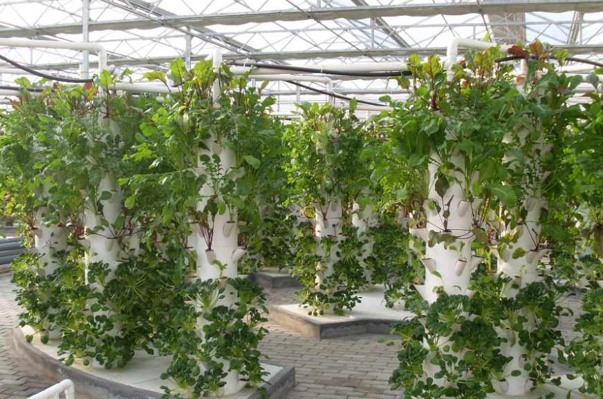 Shop for premium hydroponic supplies at GrowGeneration hydroponics store, featuring G AND N FORTUNE LIMITED products.