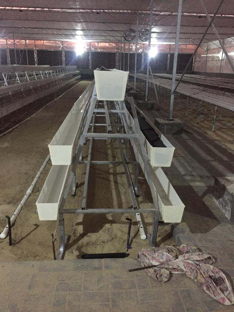 Pot growing systems from G AND N FORTUNE LIMITED.