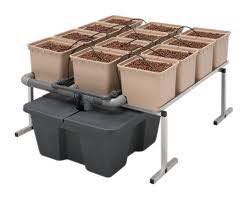 3.G AND N FORTUNE LIMITED has buckets for tomato plants in hydroponics.