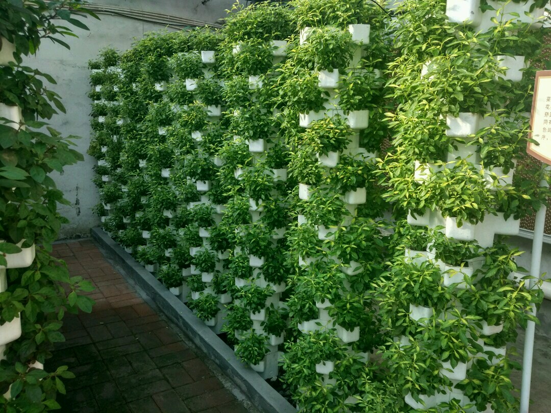 Upgrade your hydroponic systems with reliable and durable products from G AND N FORTUNE LIMITED.