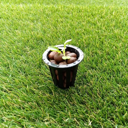 G AND N FORTUNE LIMITED's hydroponic net pot for you.