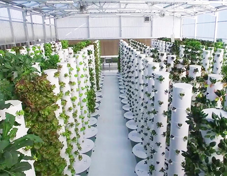 12.Get the perfect hydroponics tower system from G AND N FORTUNE LIMITED for your home garden.