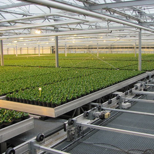 G AND N FORTUNE LIMITED's ebb and flow tray for hydroponics.