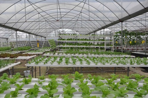 Advanced hydroponics system by G AND N FORTUNE LIMITED