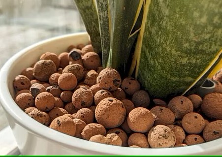 G AND N FORTUNE LIMITED's hydro clay pebbles for plants.