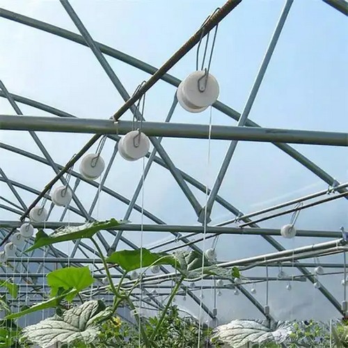  G AND N FORTUNE LIMITED offers hydroponic tools to clip tomatoes