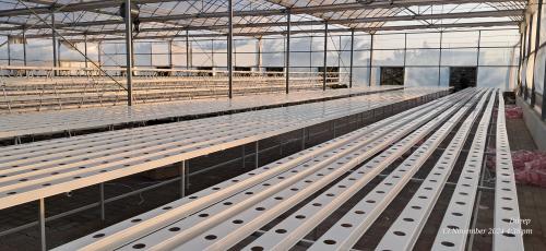 1.G AND N FORTUNE LIMITED's advanced hydroponics growing system