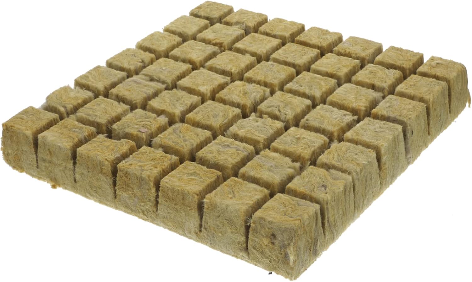 G AND N FORTUNE LIMITED's seed nursery is for hydroponics.