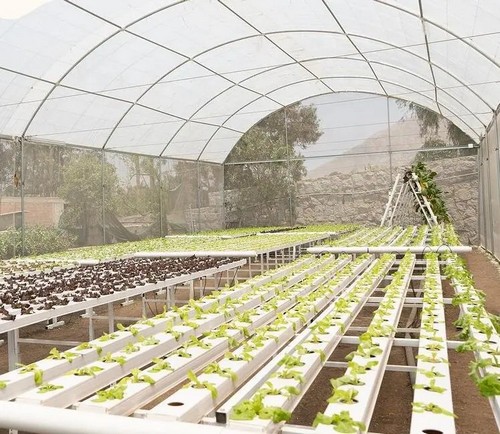 G AND N FORTUNE LIMITED provides hydroponics systems for water - based cultivation.