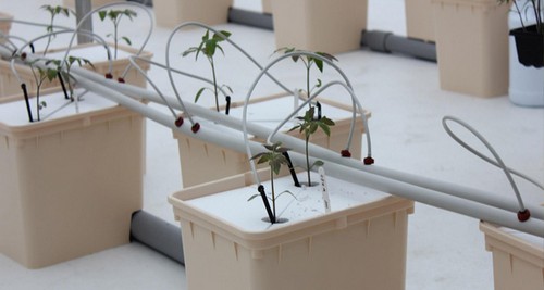 G AND N FORTUNE LIMITED's hydroponic dutch bucket: hydro gear.