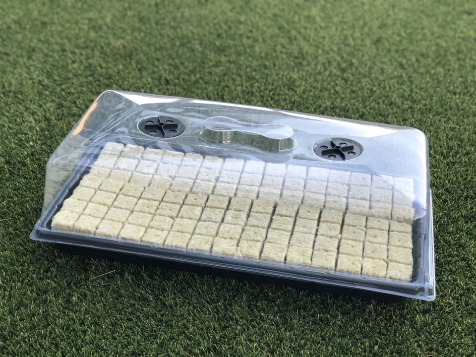 14.G AND N FORTUNE LIMITED offers plastic seed starter trays for a convenient hydroponic solution.