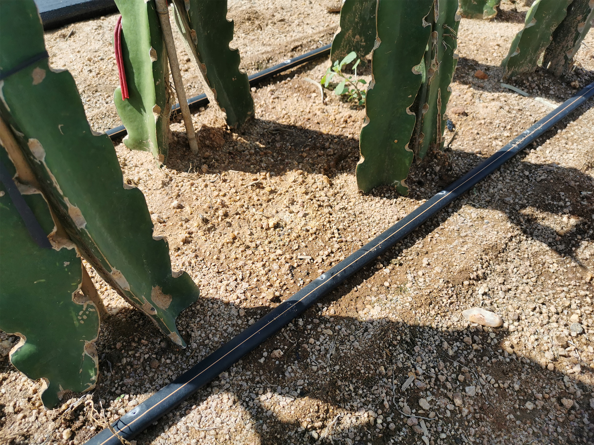 Grab G&N HDPE pipe at Home Depot for hydroponics.
