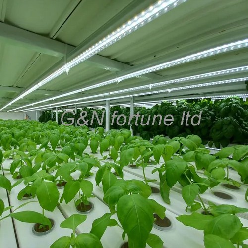  G AND N FORTUNE LIMITED’s adaptable flower pot perfect for hydroponic plant growth.
