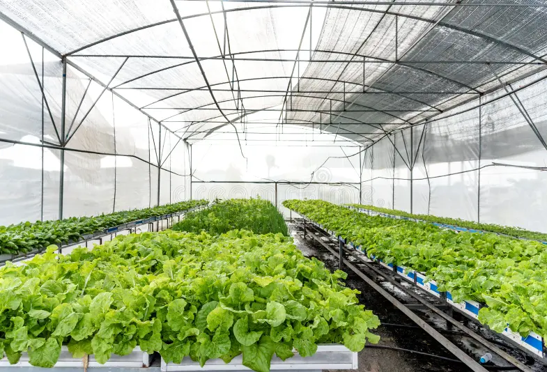 PVC hydroponic system from G AND N FORTUNE LIMITED.