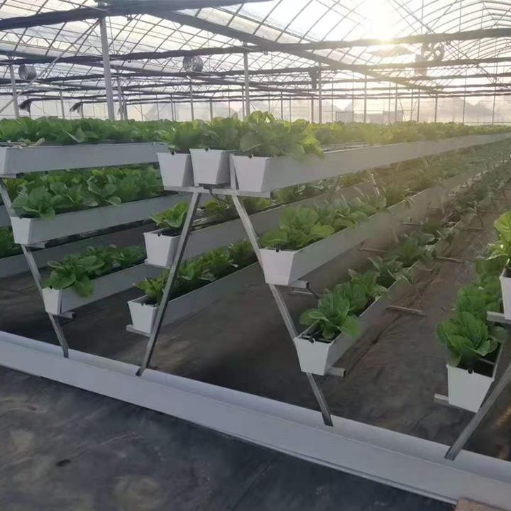 Their grow tent hydroponic system by G AND N FORTUNE LIMITED is ideal.