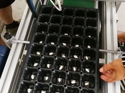  G AND N FORTUNE LIMITED's vacuum seeding machine for hydroponics.