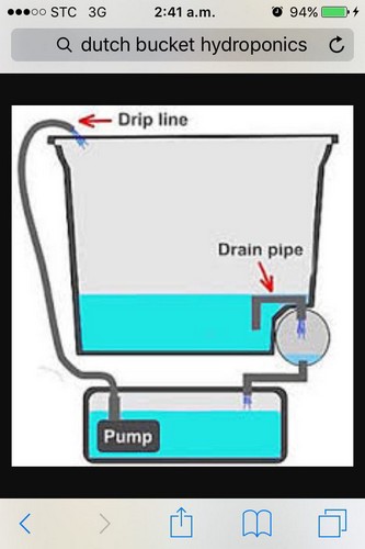 G AND N FORTUNE LIMITED's 5 gallon plant buckets for hydroponics.