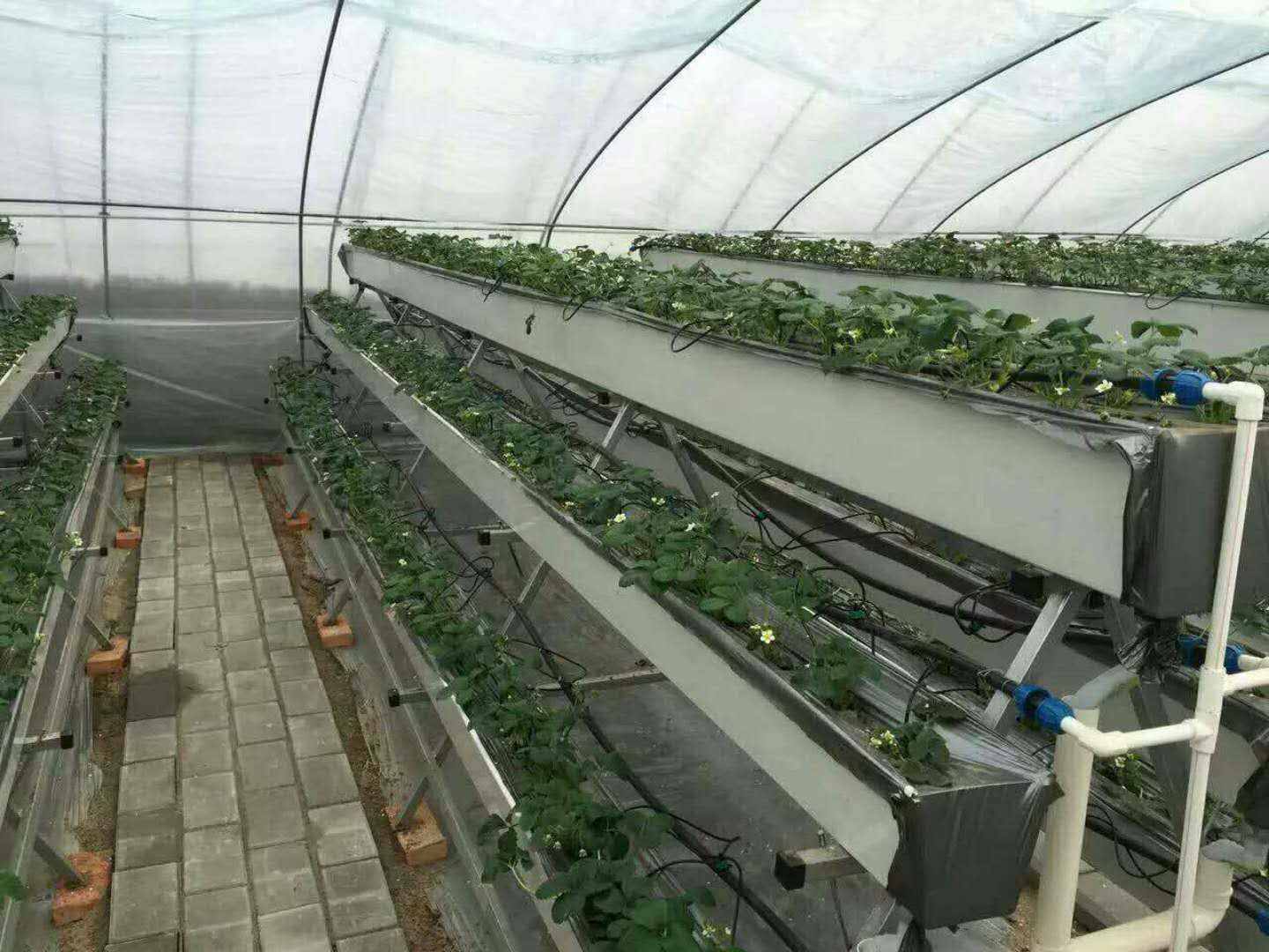 Sun systems grow lights by G AND N FORTUNE LIMITED.