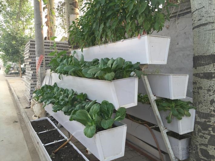 Automated watering system for grow tent by G AND N FORTUNE LIMITED.
