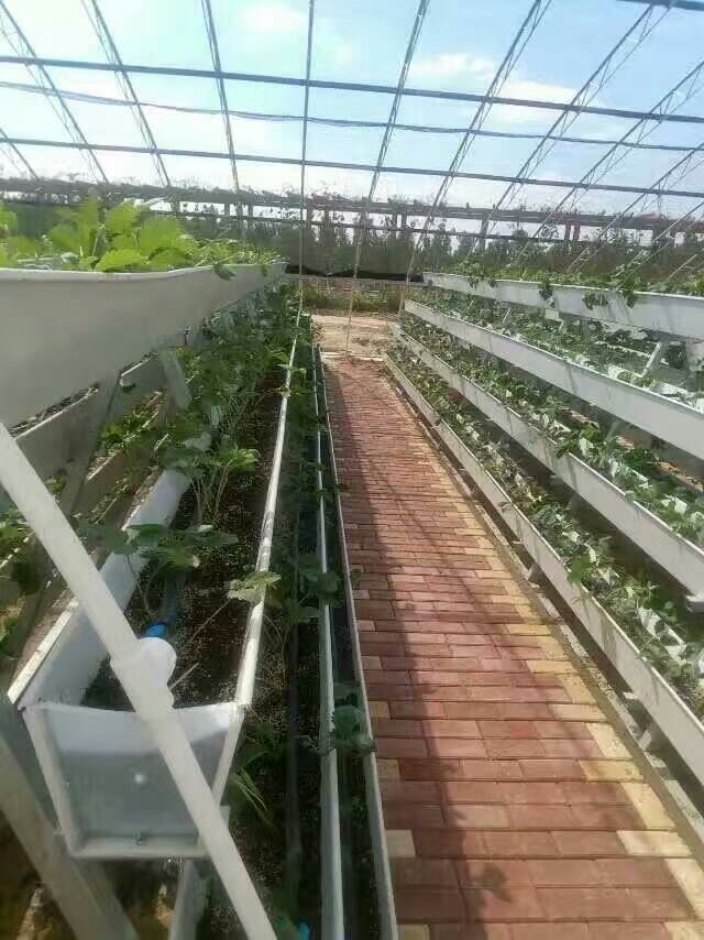 Best indoor grow systems by G AND N FORTUNE LIMITED.