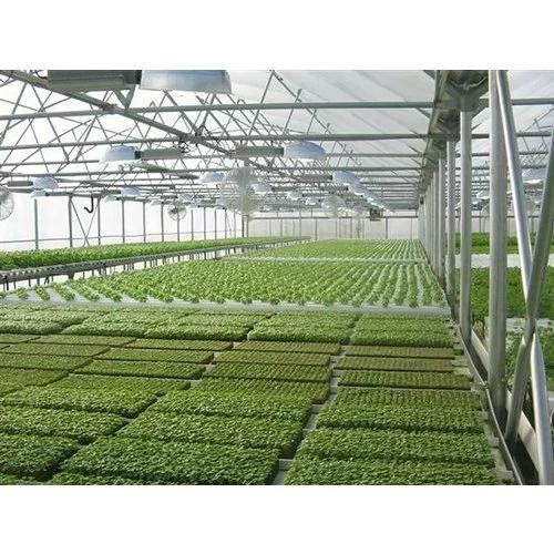 G AND N FORTUNE LIMITED's water raft float for hydroponics.