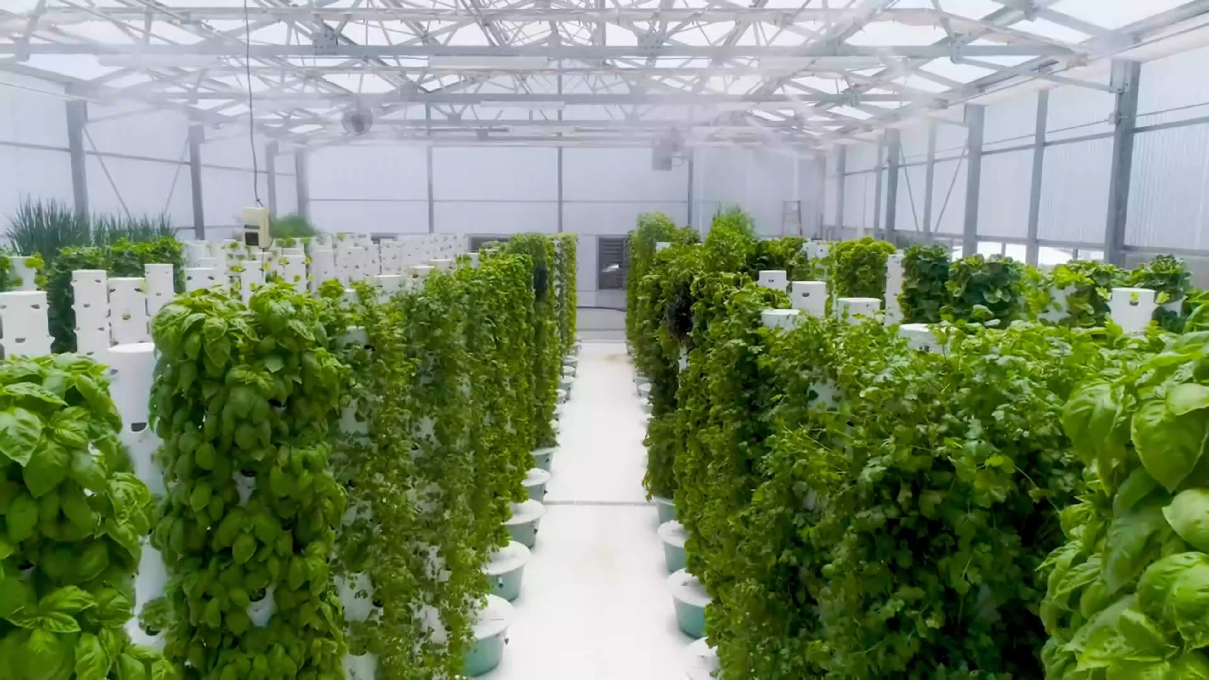 20.G AND N FORTUNE LIMITED’s hydroponic grow tower helps you cultivate crops in a compact space.