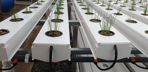 G AND N FORTUNE LIMITED’s best indoor grow systems are both compact and high-performing. 