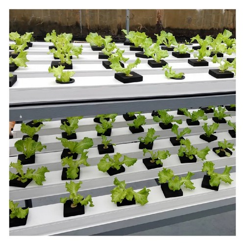 Indoor hydroponic grow system by G AND N FORTUNE LIMITED: reliable.