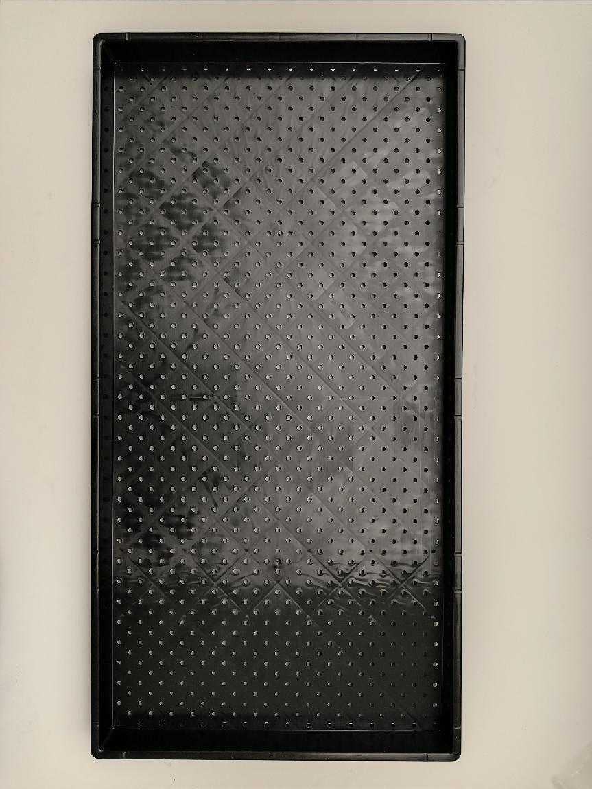 G AND N FORTUNE LIMITED’s air pruning seed trays promote healthy root development in hydroponics.