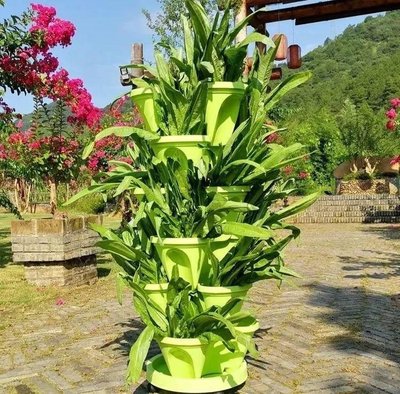 G AND N FORTUNE LIMITED outdoor flower pot is designed for hydroponic gardening systems.