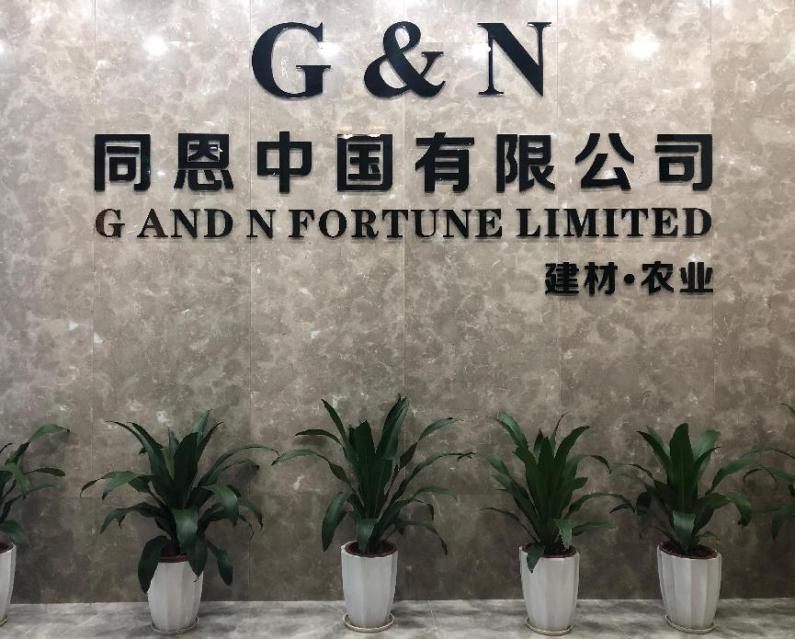 G AND N FORTUNE LIMITED
