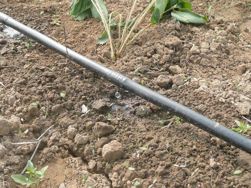 G&N 3 inch HDPE pipe for hydroponic tasks.
