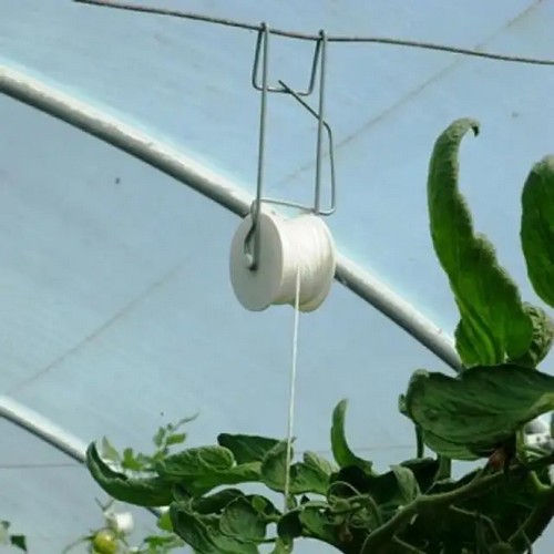 Use G AND N FORTUNE LIMITED's hydroponics to handle clipped rotten tomatoes
