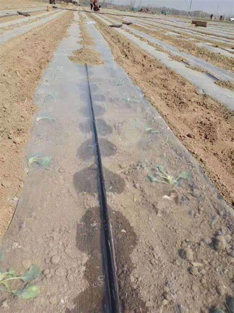 Irrigation flex pipe by G AND N FORTUNE LIMITED, for flexible hydroponics.