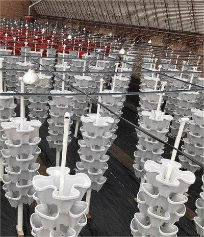 G AND N FORTUNE LIMITED outdoor flower pots offer a hydroponic solution for your garden.