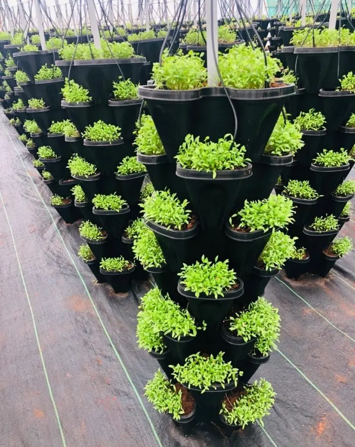 Stackable Pots from G AND N FORTUNE LIMITED maximize space for hydroponic gardening.