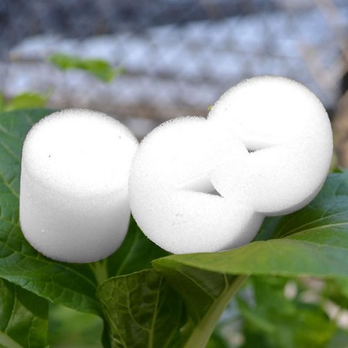 G AND N FORTUNE LIMITED's hydroponic sponges for sale for hydro.