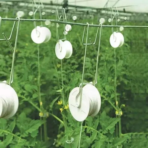 G AND N FORTUNE LIMITED offers hydroponics with tomato trellis roller hooks.