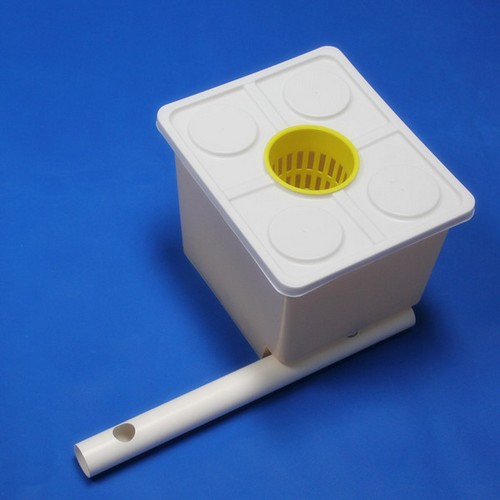 G AND N FORTUNE LIMITED offers bucket planting tomatoes equipment for hydroponics.