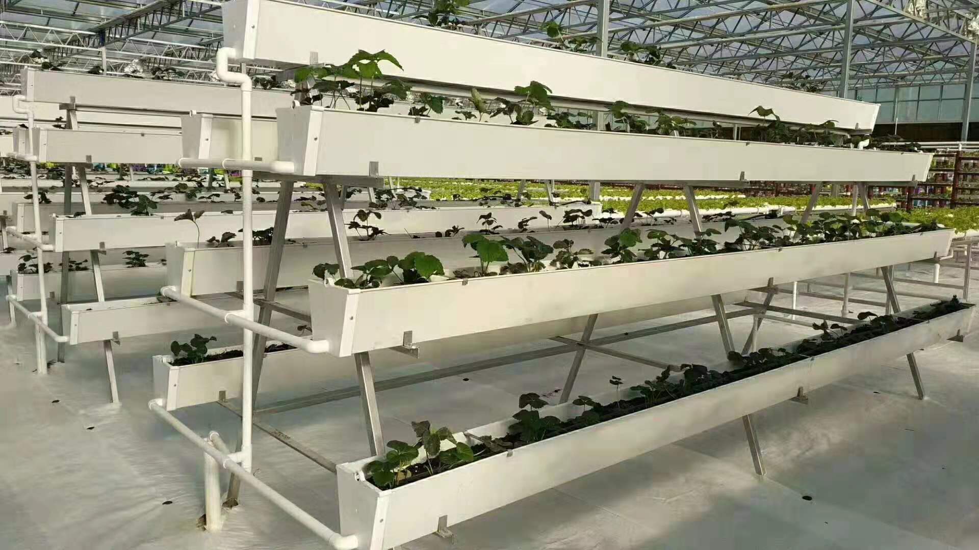 Marijuana growing system by G AND N FORTUNE LIMITED for hydroponics.