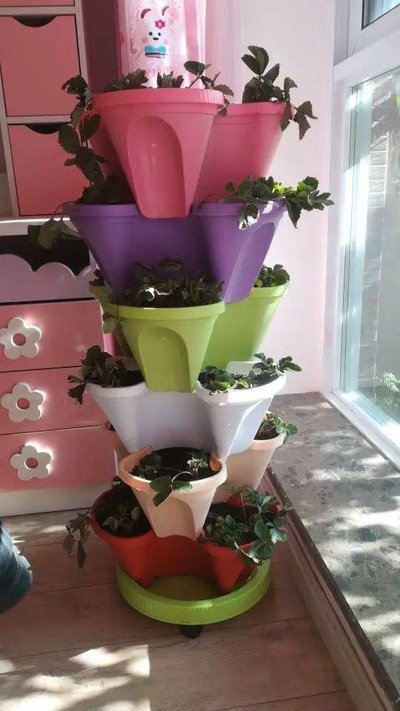 Choose G AND N FORTUNE LIMITED flower pots for efficient hydroponic plant cultivation.