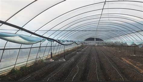 Home depot irrigation pipe, G AND N FORTUNE LIMITED, for home hydroponics.