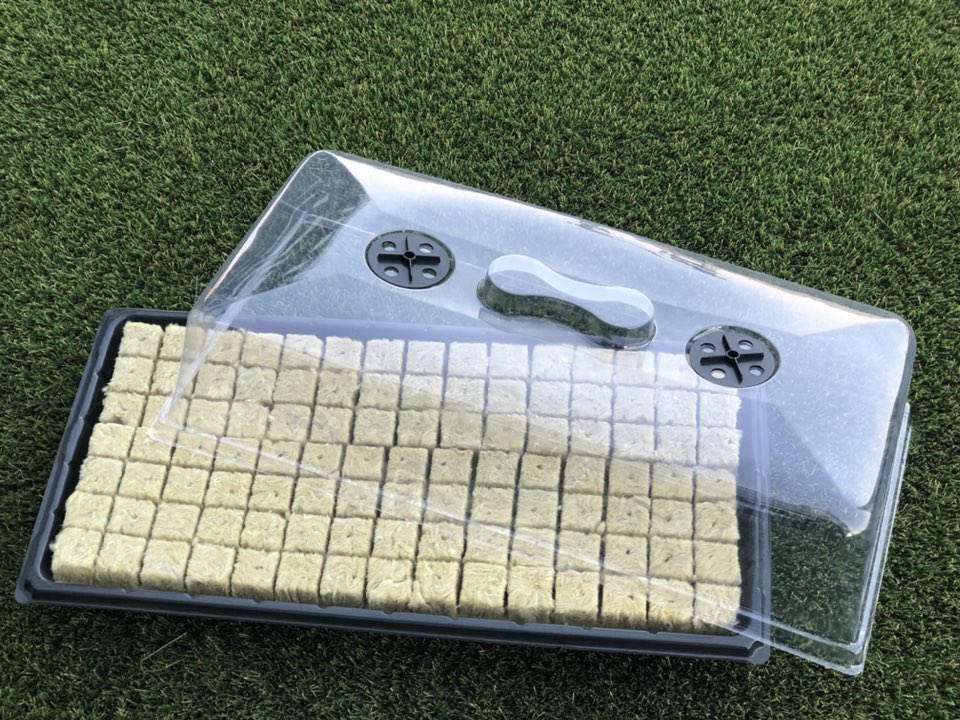G AND N FORTUNE LIMITED’s seed block trays are perfect for hydroponic plant cultivation.