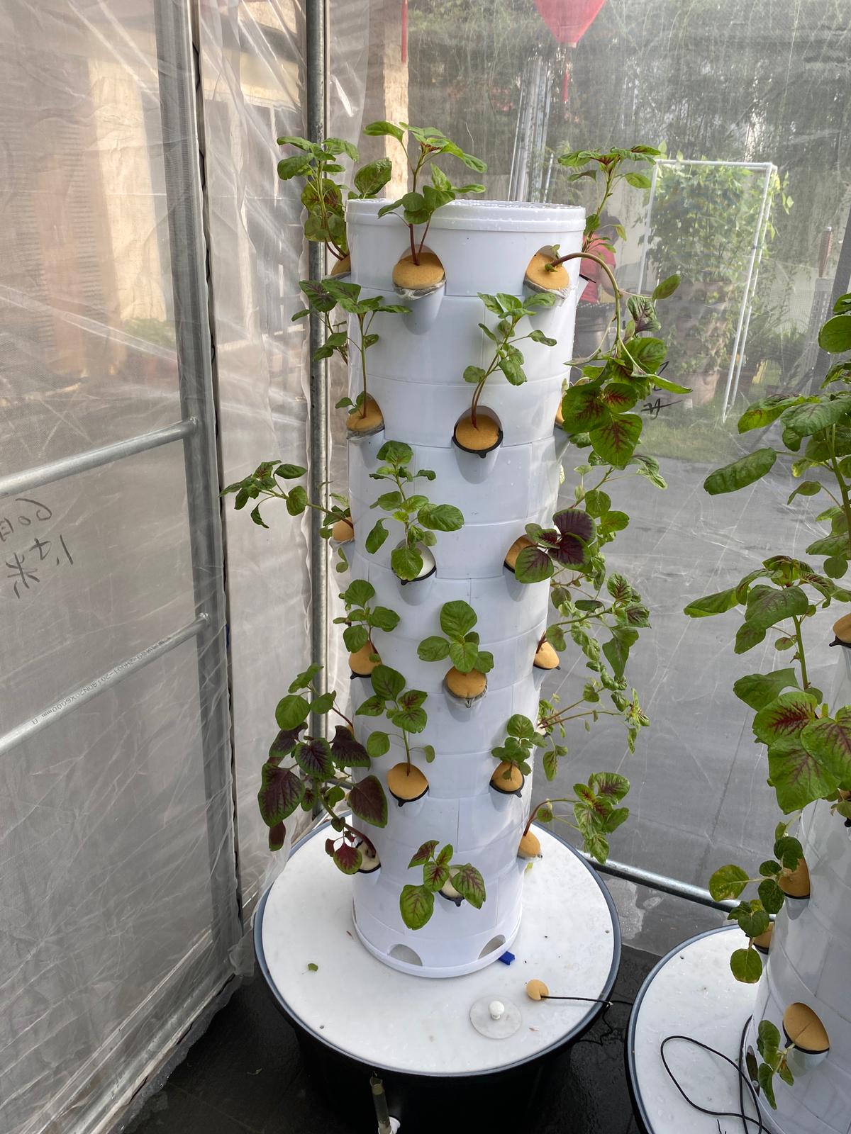 16.Enjoy the benefits of hydroponic tower gardening with G AND N FORTUNE LIMITED’s superior products.